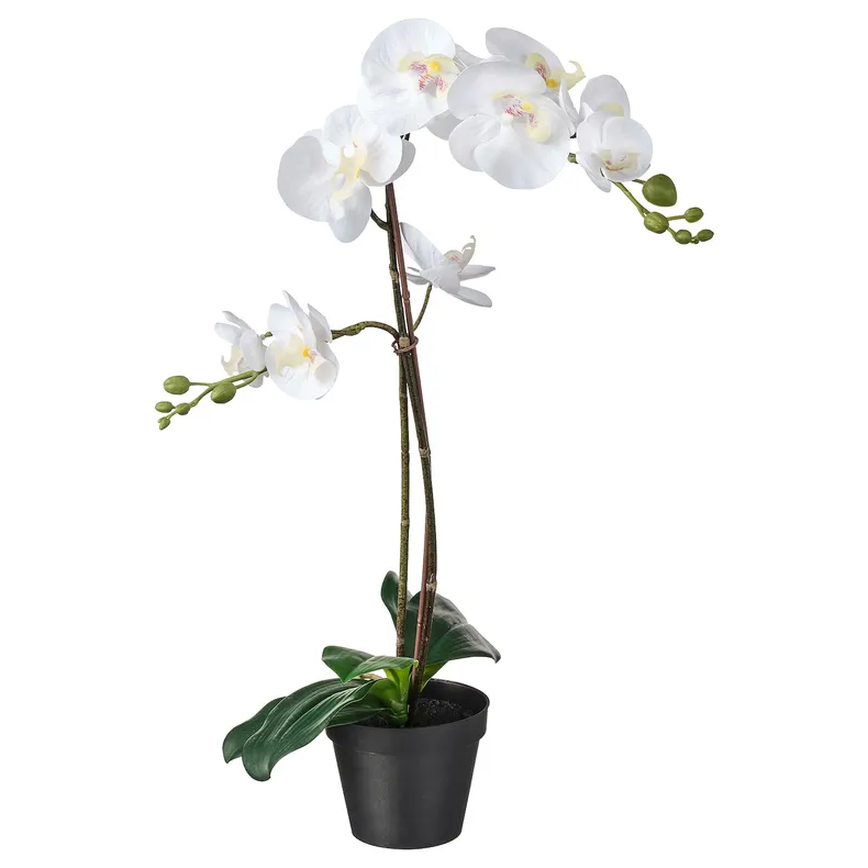 IKEA FEJKA ФЕЙКА, искусственное растение в горшке, Орхидея белый, 12 см 802.859.09 фото №1