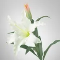 IKEA SMYCKA СМИККА, цветок искусственный, лилия / белый, 85 см 403.335.87 фото thumb №5