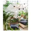 IKEA DYPSIS LUTESCENS ДИПСІС ЛУТЕСЦЕНС, рослина в горщику, Пальма Арека, 24 см 468.040.05 фото thumb №3