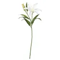 IKEA SMYCKA СМИККА, цветок искусственный, лилия / белый, 85 см 403.335.87 фото thumb №1