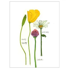 IKEA BILD БИЛЬД, постер, Цветущие цветы II, 30x40 см 504.361.13 фото