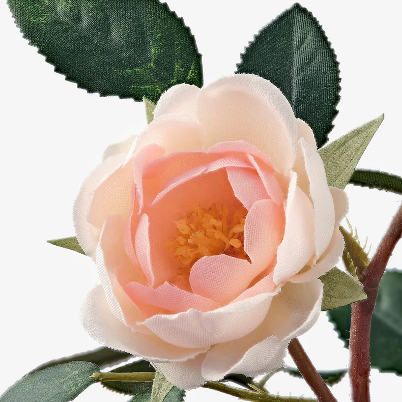 IKEA FEJKA ФЕЙКА, штучна рослина в горщику, для приміщення / вулиці / Троянда рожевий, 9 см 003.953.13 фото №4