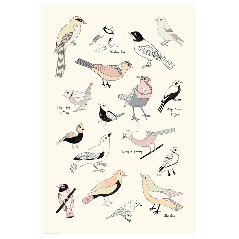 IKEA BILD БІЛЬД, постер, життя птахів, 61x91 см 904.417.92 фото №1