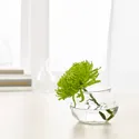 IKEA VILJESTARK ВИЛЬЕСТАРК, ваза, прозрачное стекло, 8 см 003.397.94 фото thumb №2