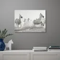 IKEA PJÄTTERYD ПЬЕТТЕРИД, картина, скачущие лошади, 70x50 см 805.194.42 фото thumb №2