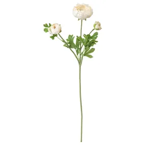 IKEA SMYCKA СМЮККА, штучна квітка, ранункулюс/білий, 52 см 203.357.14 фото