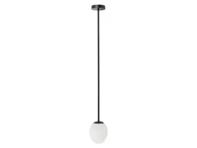 BRW Скляний підвісний світильник для ванної Ice Egg чорно-білий 083935 фото