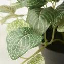 IKEA FEJKA ФЕЙКА, искусственное растение в горшке, внутренняя / наружная мозаика / подвесная, 9 см 405.716.77 фото thumb №5