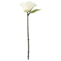 IKEA SMYCKA СМИККА, цветок искусственный, Внутренняя / наружная / камелия белая, 28 см 905.717.93 фото thumb №1