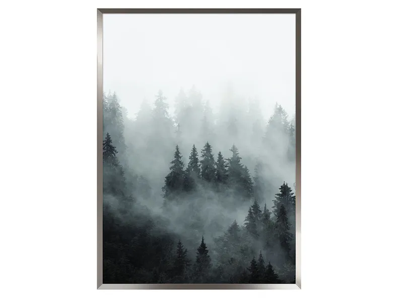 BRW картина Туман 2 50х70 см 070527 фото №1