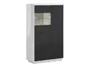Шкаф BRW FORN, 157х94 см, белый глянцевый / черный матовый REG2D1W-BIP/CAM фото