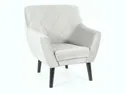 Кресло мягкое бархатное SIGNAL KIER 1 Velvet, Bluvel 03 - светло-серый / венге фото thumb №1