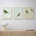 IKEA BILD БИЛЬД, постер, Городские птицы I, 30x40 см 504.361.70 фото thumb №3