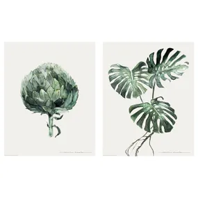 IKEA BILD БИЛЬД, постер, Зеленые листья, 40x50 см 204.360.39 фото