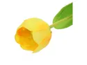 BRW одиночний тюльпан 53 см жовтий 090939 фото thumb №2