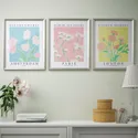 IKEA BILD БИЛЬД, постер, цветочная ярмарка, 40x50 см 505.549.36 фото thumb №2