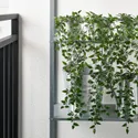 IKEA FEJKA ФЕЙКА, искусственное растение в горшке, внутренний / наружный / подвесной, 9 см 403.495.31 фото thumb №4