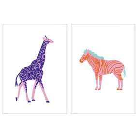 IKEA BILD БИЛЬД, постер, жираф и зебра, 50x70 см 705.340.56 фото