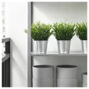 IKEA FEJKA ФЕЙКА, штучна рослина в горщику, для приміщення / вулиці Кімнатний бамбук, 9 см 604.339.39 фото thumb №3