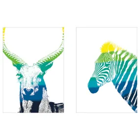 IKEA BILD БІЛЬД, постер, Тварини на спектрі, 40x50 см 304.469.24 фото