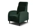 BRW Lento, крісло, Riviera 38 Green FO-LENTO-G1_B96F0F фото thumb №4