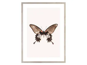 BRW картина Коричневий метелик 50х70 см 081601 фото