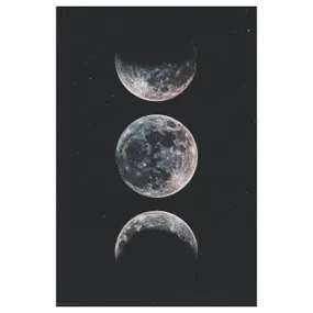 IKEA BILD БІЛЬД, постер, Місяць, 61x91 см 004.417.96 фото