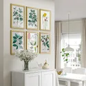 IKEA BILD БИЛЬД, постер, Цветущие цветы II, 30x40 см 504.361.13 фото thumb №4