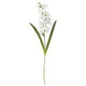 IKEA SMYCKA СМИККА, цветок искусственный, Гладиолус / белый, 100 см 303.335.83 фото thumb №1