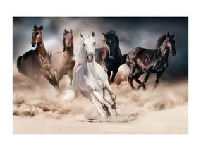 Картина на стекле SIGNAL HORSES фото