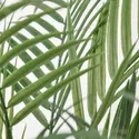 IKEA FEJKA ФЕЙКА, искусственное растение в горшке, Пальма Арека, 12 см 305.084.03 фото thumb №3