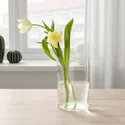 IKEA CHILIFRUKT ЧІЛІФРУКТ, ваза/поливальниця, прозоре скло, 21 см 304.922.42 фото thumb №3