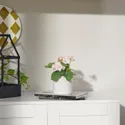 IKEA FEJKA ФЕЙКА, штучна рослина в горщику, кімнатні / зовнішні / Пеларгонія світло-рожева, 9 см 705.716.85 фото thumb №2