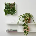 IKEA FEJKA ФЕЙКА, растение искусственное, настенный / внутренний / наружный зеленый / сиреневый, 26x26 см 505.465.69 фото thumb №7