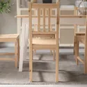 IKEA PINNTORP ПІННТОРП, стілець, світло-коричнева морилка 005.904.80 фото thumb №4