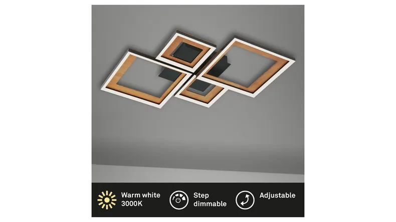 BRW Frame LED 4-точечный потолочный светильник с диммером черный 085502 фото №5