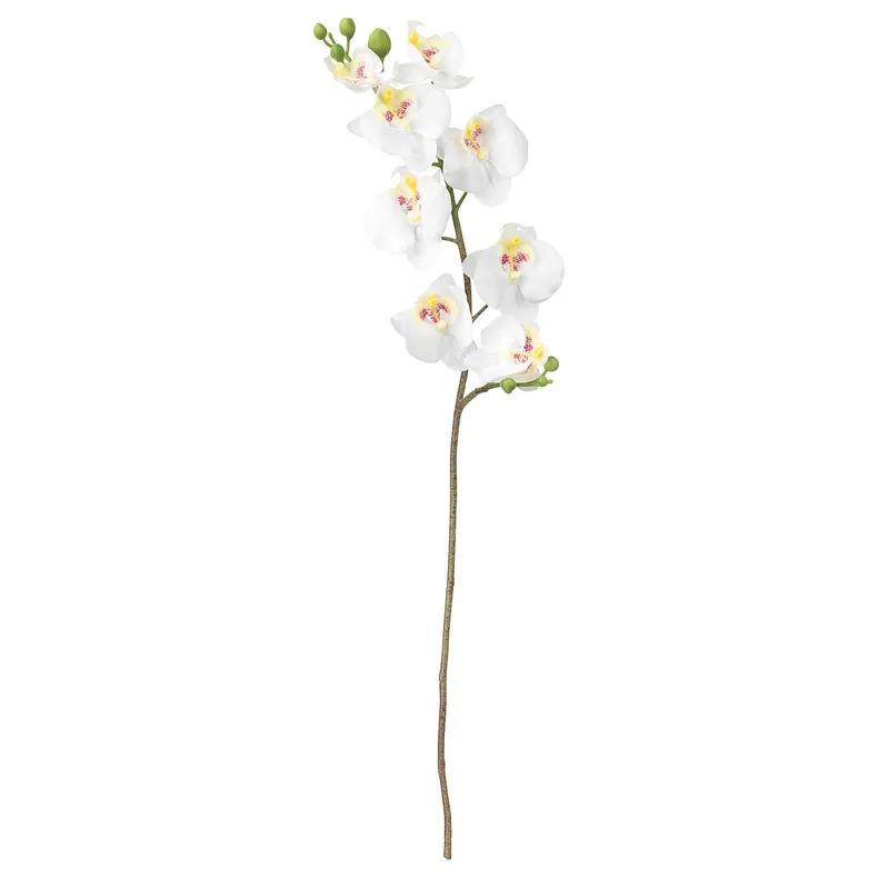 IKEA SMYCKA СМИККА, цветок искусственный, Орхидея / белый, 60 см 803.335.85 фото №1