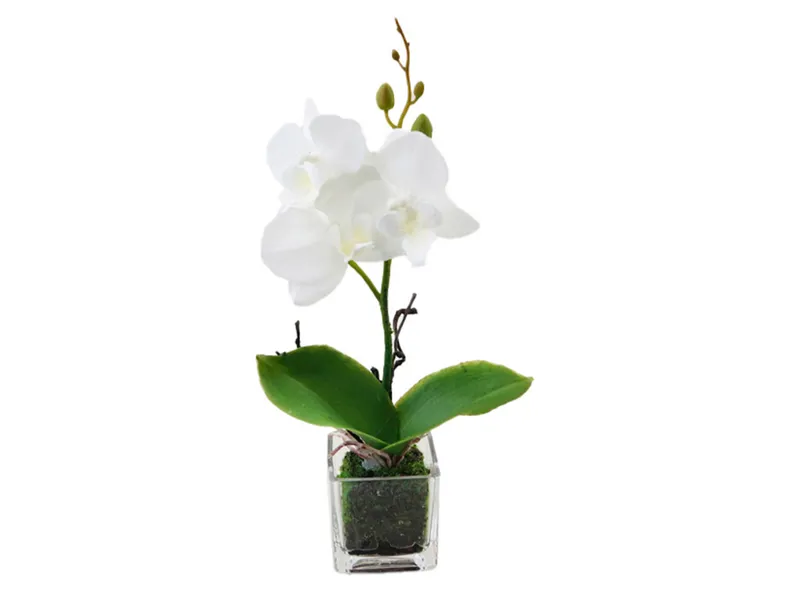 BRW искусственная орхидея в горшке 080519 фото №1