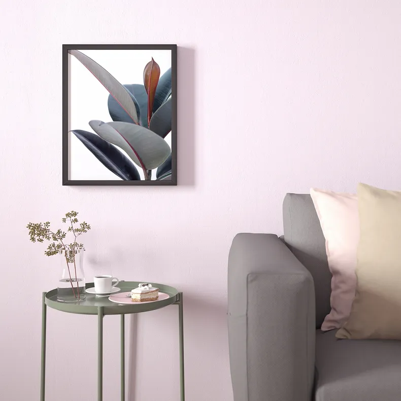 IKEA BILD БИЛЬД, постер, Горшечное растение - Зей, 40x50 см 804.420.75 фото №3