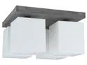 BRW Чудовий 4-точковий бетонний стельовий світильник біло-сірого кольору 073922 фото thumb №1
