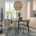 IKEA LISABO ЛИСАБО / ÄLVSTA ЭЛЬВСТА, стол и 4 стула, черный / ротанг черный, 140x78 см 494.815.83 фото thumb №2