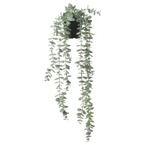 IKEA FEJKA ФЕЙКА, штучна рослина в горщику, кімнатні / зовнішні підвісні / евкаліпт, 9 см 704.668.11 фото