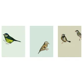 IKEA BILD БІЛЬД, постер, Міські птахи I, 30x40 см 504.361.70 фото