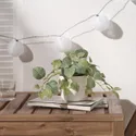 IKEA FEJKA ФЕЙКА, искусственное растение в горшке, внутренняя / наружная мозаика / подвесная, 9 см 405.716.77 фото thumb №3