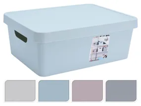 BRW коробковий мікс кольорів 081436 фото