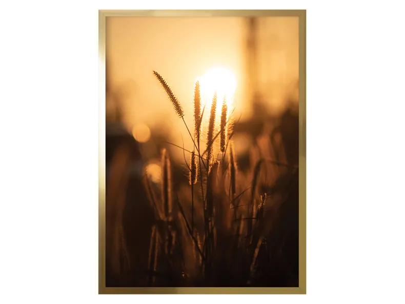 BRW картина Трави на сонці 50х70 см 081595 фото №1