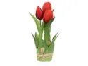 BRW тюльпани в зв'язці 20 см 3 шт прогумовані червоні 090937 фото thumb №1