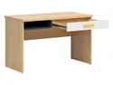 Письмовий стіл BRW Wesker, 120х59 см, дуб польський/синій/білий глянець BIU1S-DANA/UG/BIP фото thumb №3