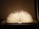 BRW Booklight, декоративная настольная лампа 076534 фото thumb №2