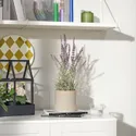 IKEA FEJKA ФЕЙКА, штучна рослина в горщику, кімнатний / зовнішній / лавандовий бузок, 12 см 505.716.91 фото thumb №2